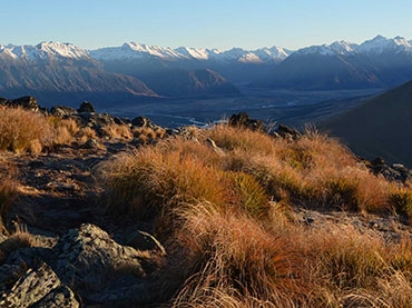 Ruataniwha Conservation Park